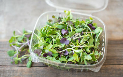 Superfood Microgreen Mix